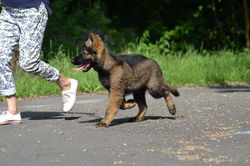 193725860_340868687599677_19881681677094