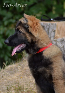 193610445_176513447635638_83508786600655