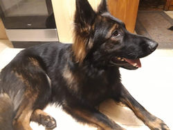 122189425_1018951775290360_6958171749792