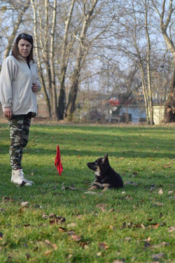 51231891_2135709346451624_69794240891065