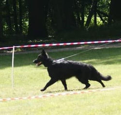 194425081_833885217478539_61611782990721