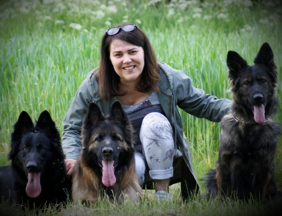 316141342_663855348526532_2398229306877549758_n_edited_edited