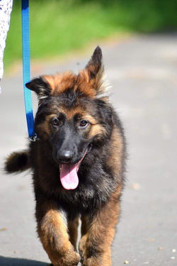 193315735_496222548359875_86385578511706