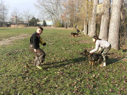 194425081_818466669038386_42669239716560