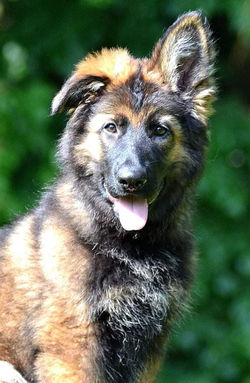 193756613_148087660588242_72504399849085