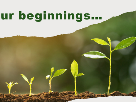 OUR BEGINNINGS...