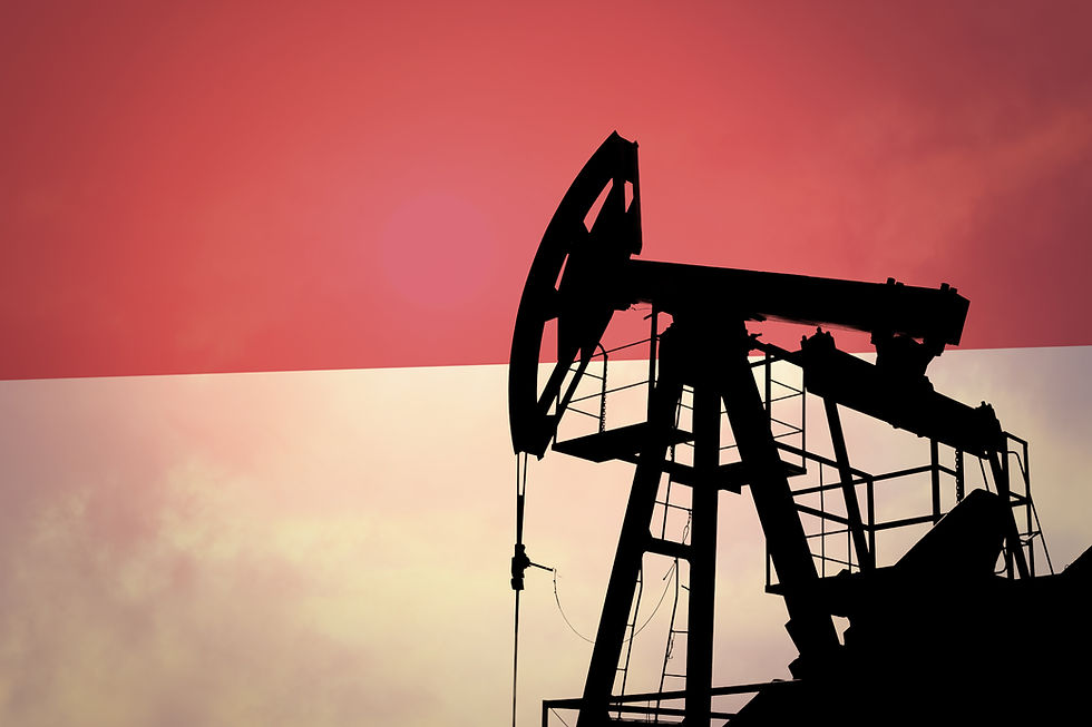 Oil pump on background of flag of Indonesia.jpg