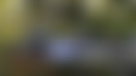 VK Shires ContestVK SHIRES 11th JUNE 2022