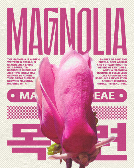 magnolia_edit