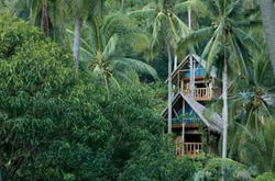Coco-Beach_hillside.jpg