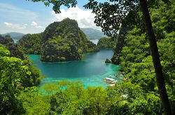 Island-Hopping-in-Coron-Palawan.jpg
