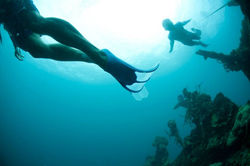 Palawan-explore.jpg