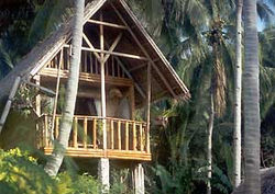 Coco-Beach_banana-house.jpg