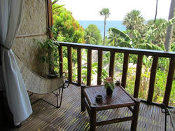coco-view (1).jpg