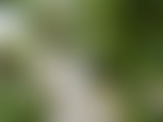 HOCHZEIT IN ITALIEN AM LAGO MAGGIORE 