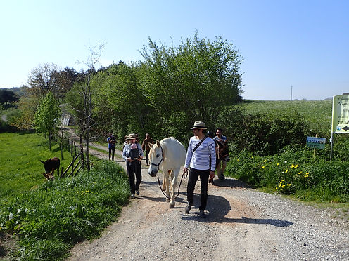 promenade avec les anes.jpg