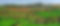 225302_1_paysage-du-lauragais recadré 1.jpg