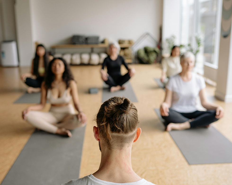 Health and Wellness Collective Intro
