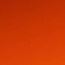 💀🎉 Así vivimos el Día de Muertos en el CETis 10