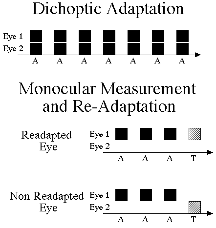 fig7.gif