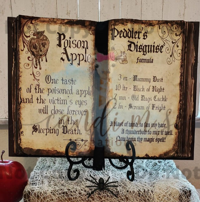 Evil Queen Spell Book Decoration