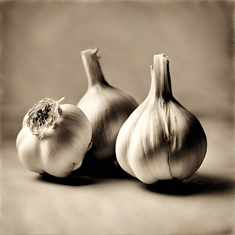 AI Prompt: Sepia-toned still life: three garlic bulbs in elegant simplicity, their papery skins capturing timeless beauty in black and white