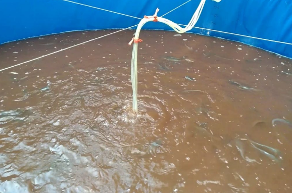 Aerator Yang Sesuai Untuk Kolam Bioflok