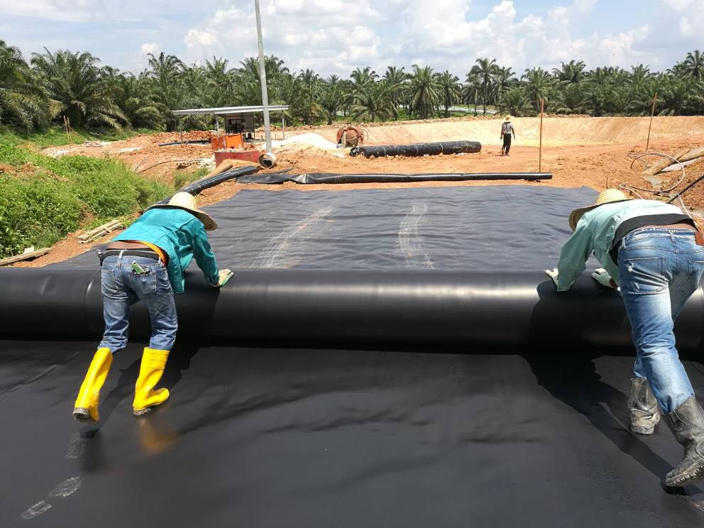 Manfaat Geomembrane pada Tambak Udang