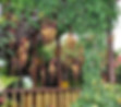 Finca Turística Machángara Hotel en el Eje Cafetero Quindío, Suites con balcones, piscina