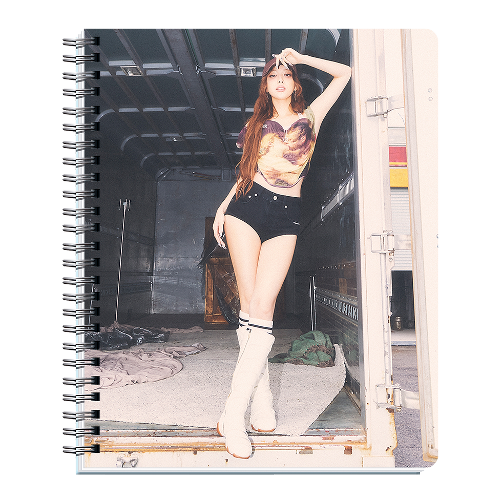 Miniatura: Cuadernos Nayeon: NA