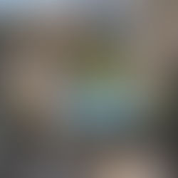 Pflanzenideen für Balkon und Balkonkistchen.