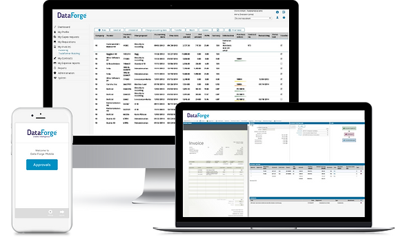 Data Forge Platform