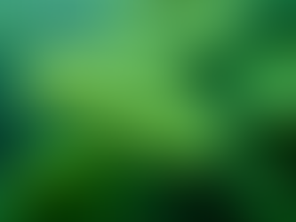 Phytoplankton vs Zooplankton: Understanding the Tiny Giants of Your Aquarium