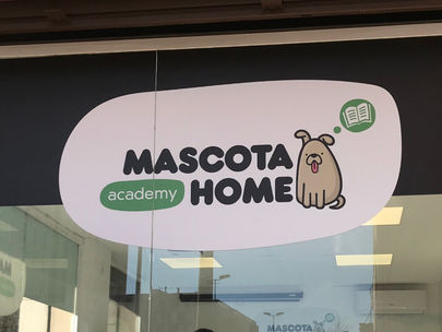 Brand design Girona, Mascota Home