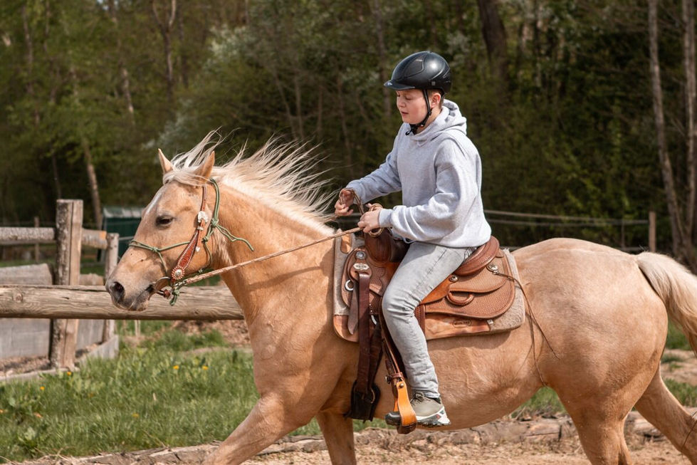 Quarter Horse Palomino.jpg