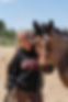 Bay Roan Paint Horse