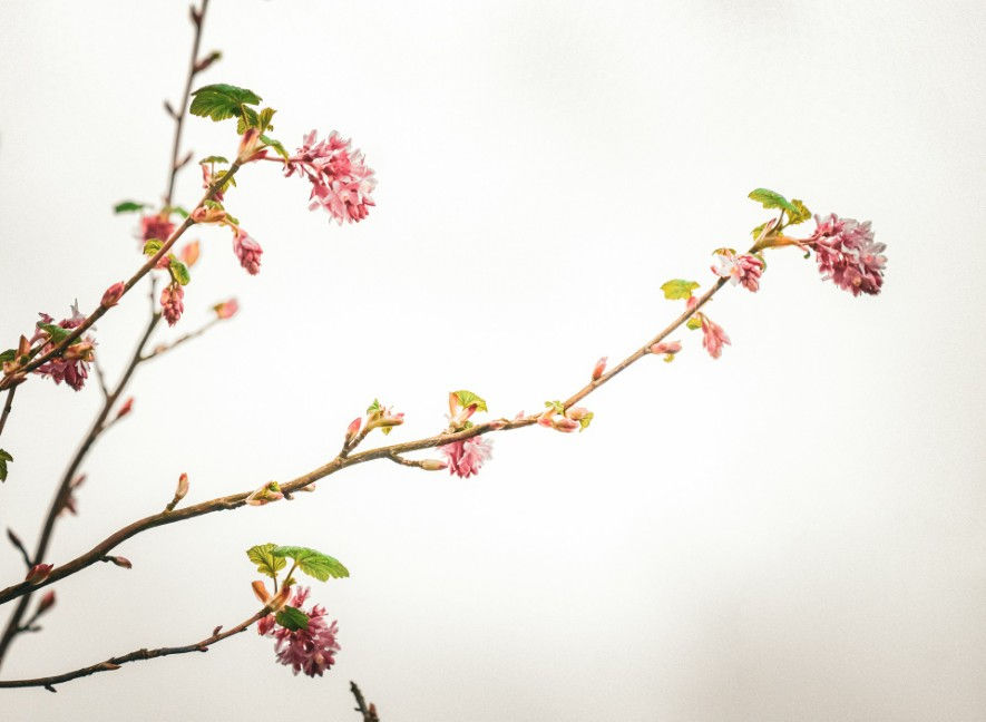 How We Use Advanced Technology to Detect Pool Leaks