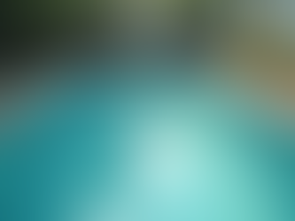 Navigating the Aftermath of Storm Damage: Expert Pool Leak Solutions in the Outer Banks