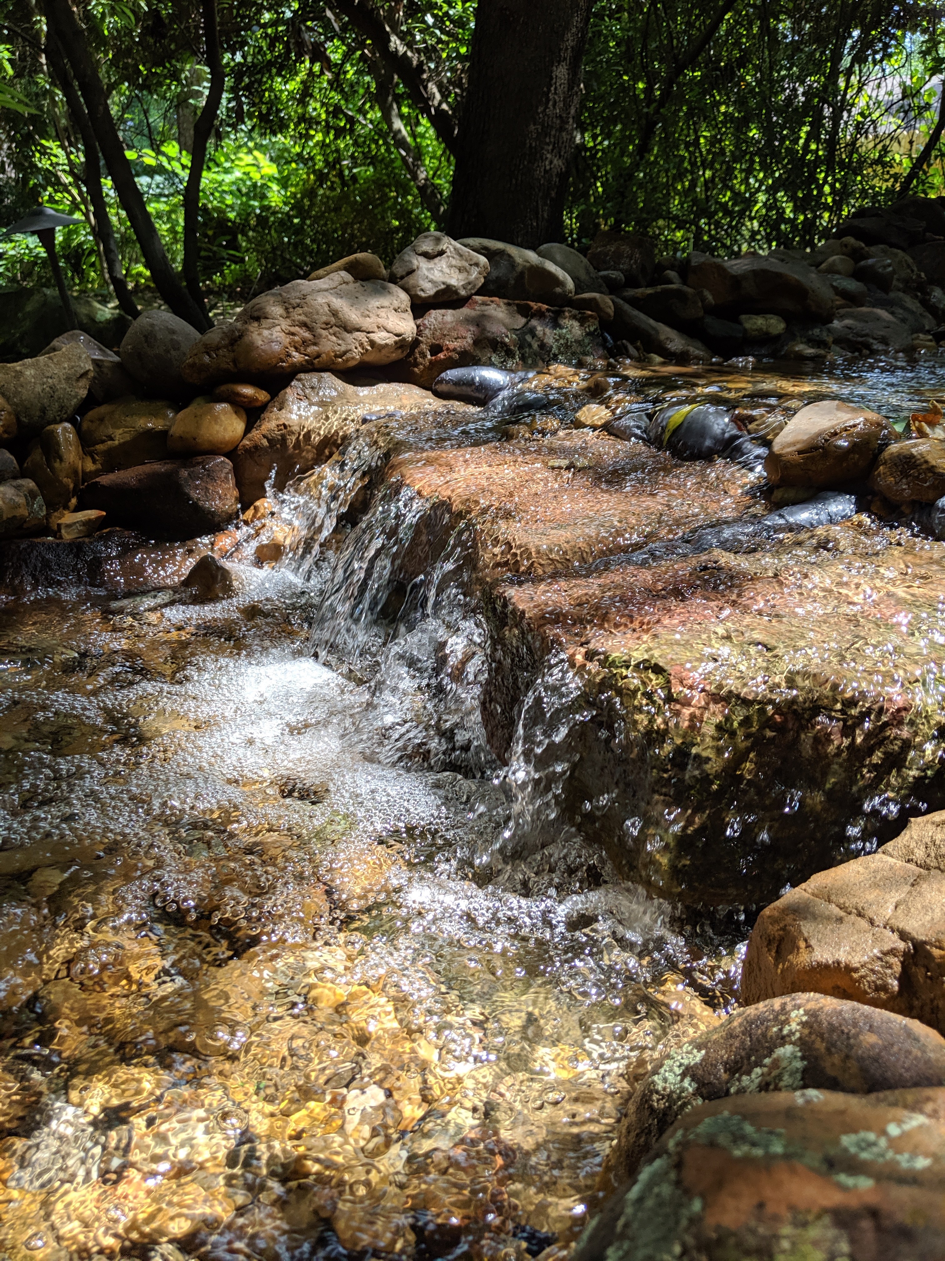 kingwood landscape and design on Kingwood Landscape Scapes Environmental Design Inc United States