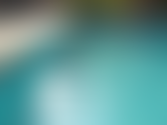 How to Spot and Fix Pool Leaks: A Homeowner's Guide