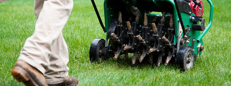 Waterlogging-Compaction-Aeration.jpg