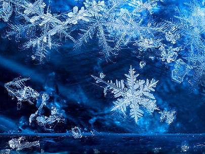 winter treatment.jpg