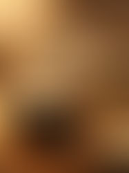 The 2025 Wet Shaving Year in Review 