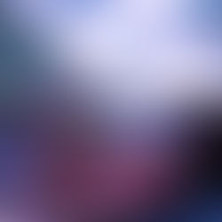 L'ANGE GARDIEN ET LE POLTERGEIST
d'Alain Anceschi