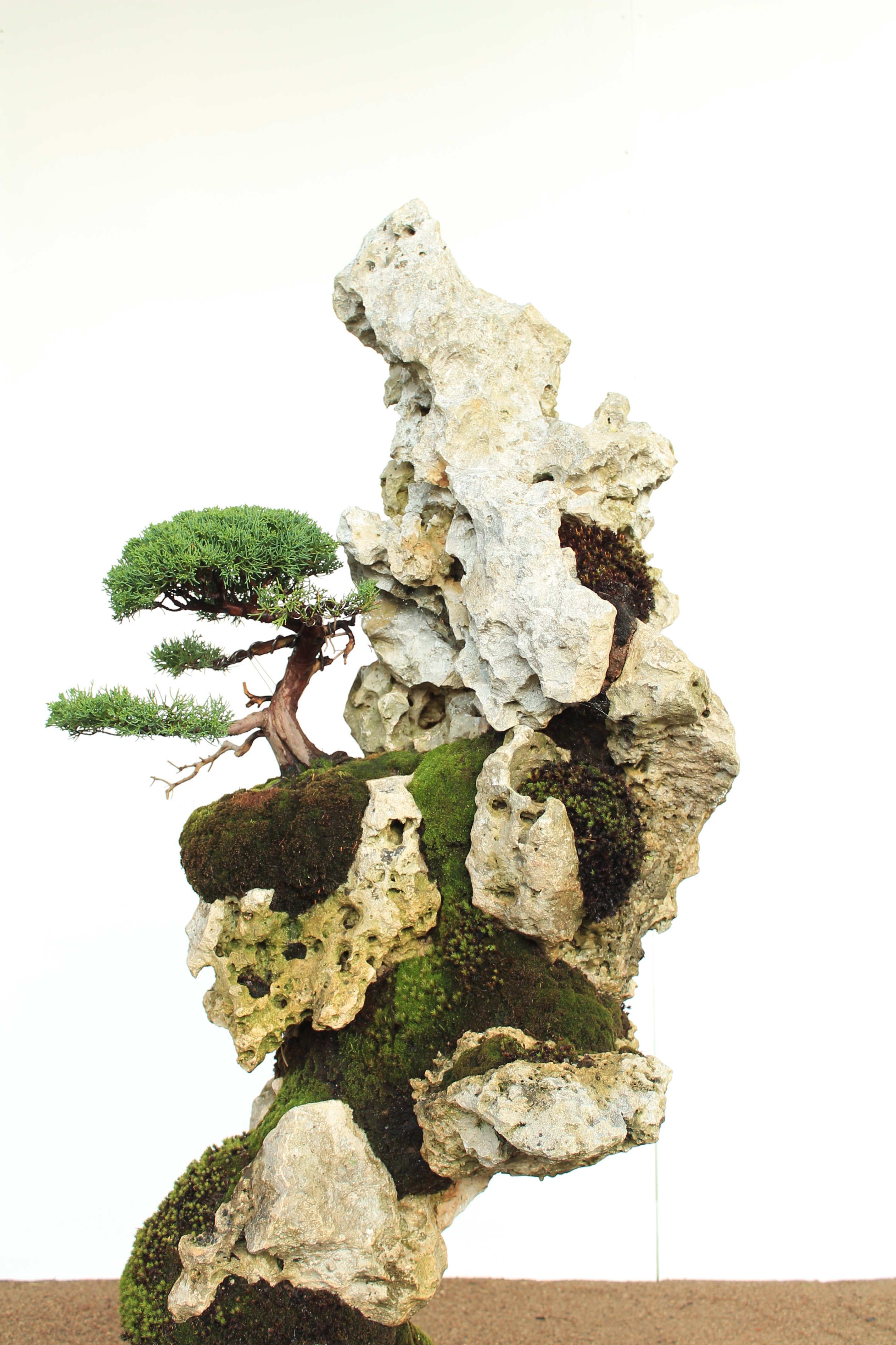 Bonsai-rocks