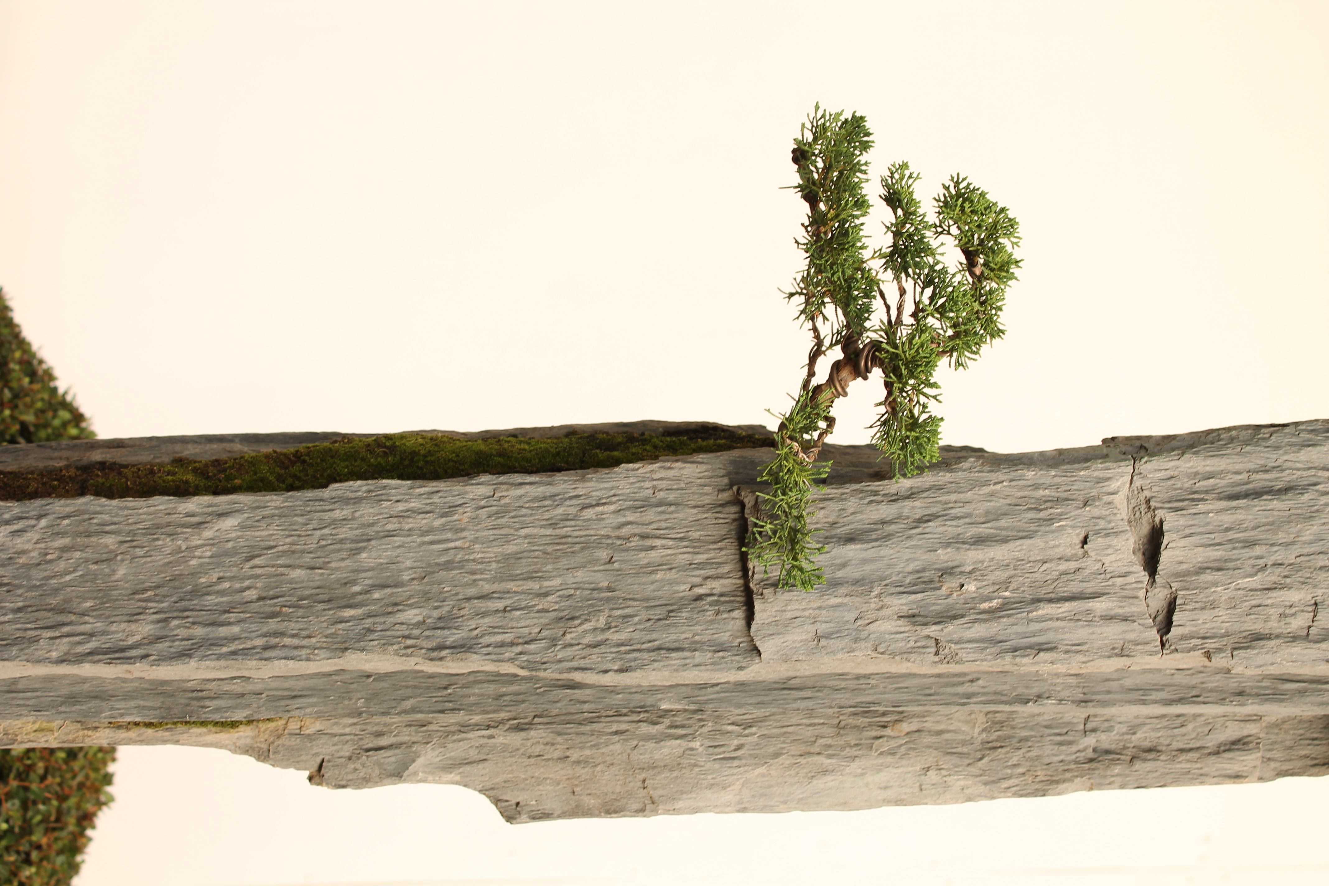 Bonsai-rocks
