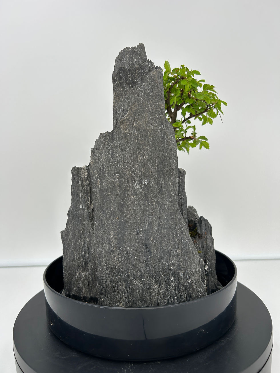 Miniature : petit paysage 72