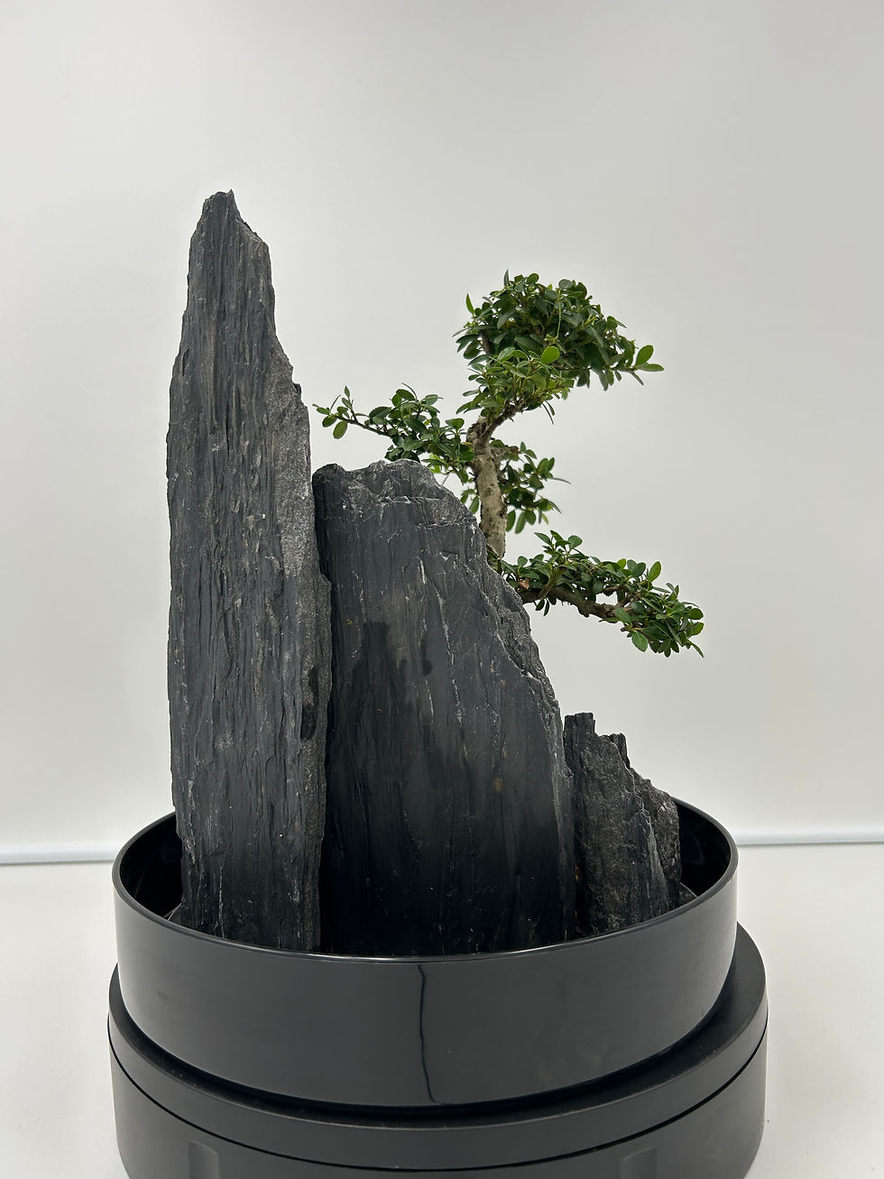 Miniature : petit paysage 30