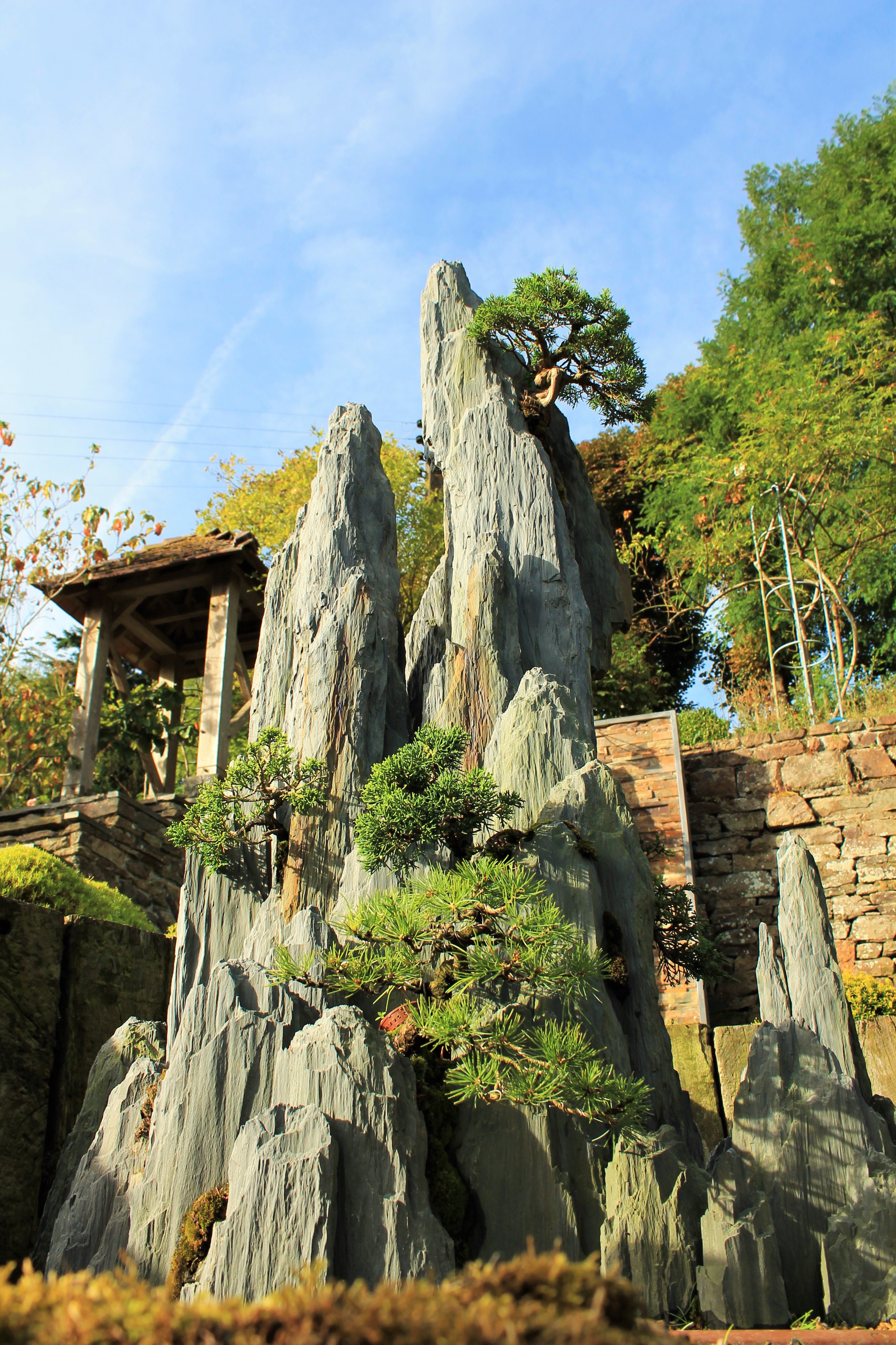 Bonsai-rocks
