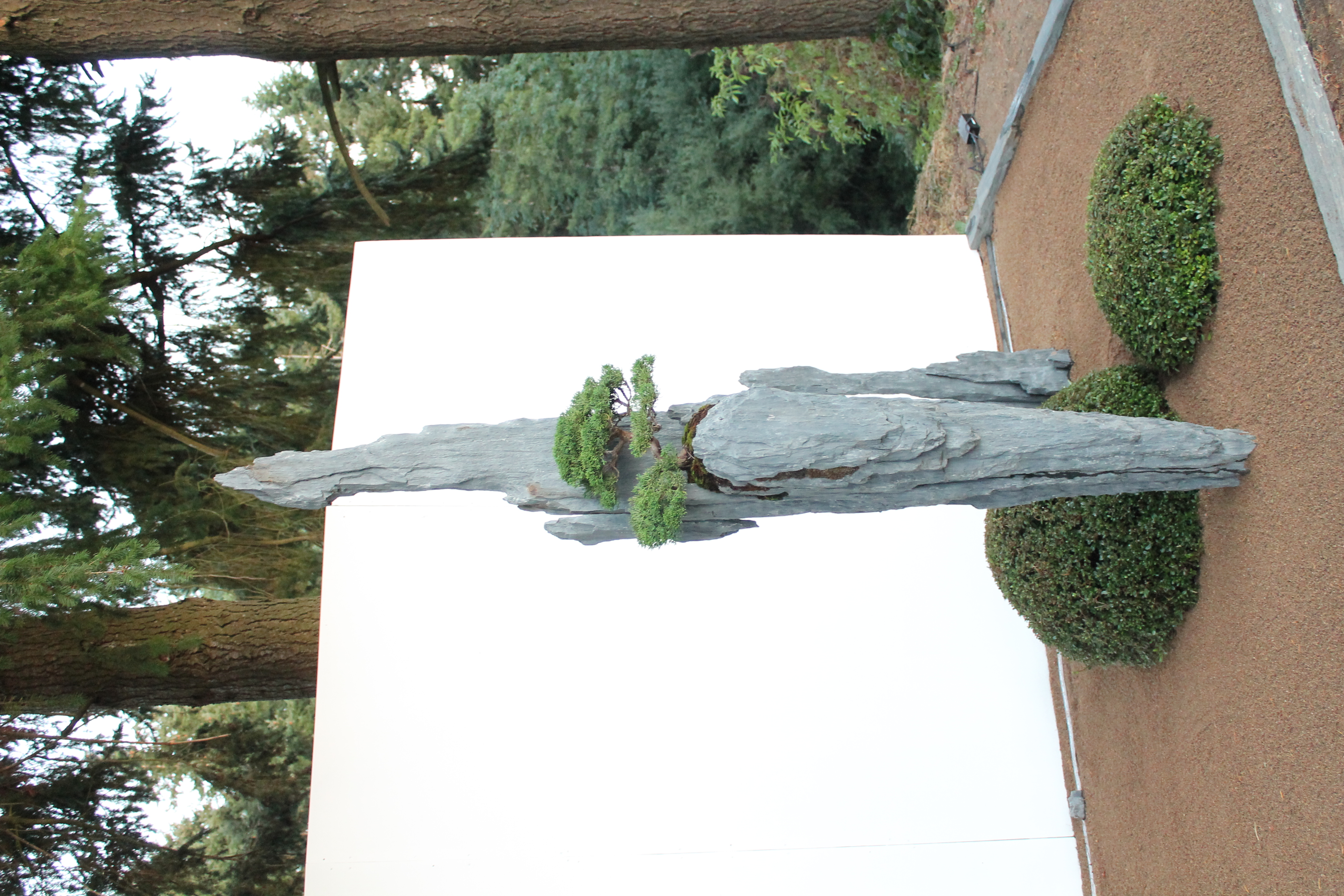 Bonsai-rocks